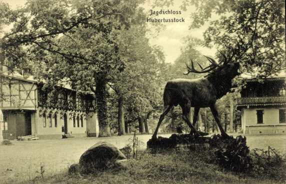 Der rhrende Hirsch vor dem Jagdschloß Hubertusstock am Werbellinsee